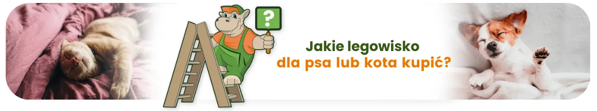 Jakie legowisko dla psa lub kota kupić?